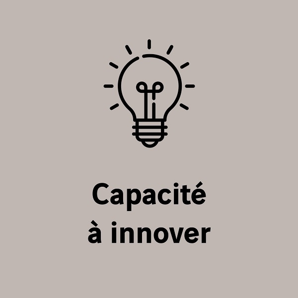 vespir-capacité à innover