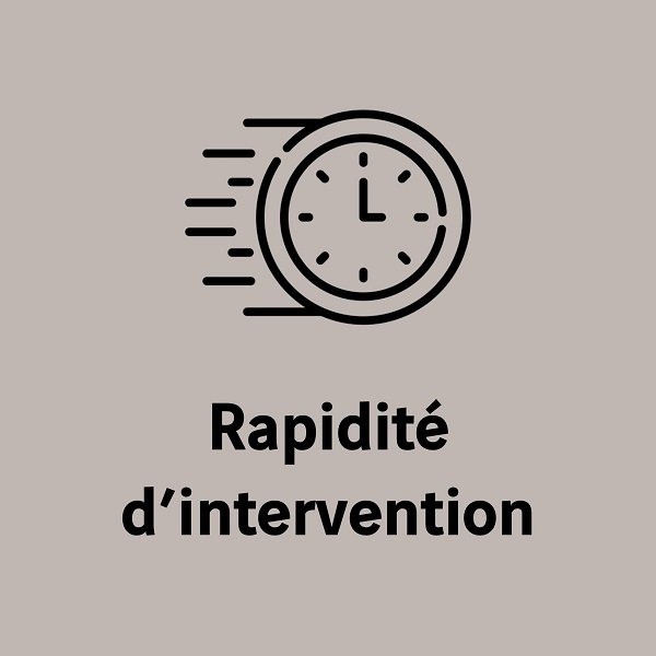 Vespir-rapidité d'interventions